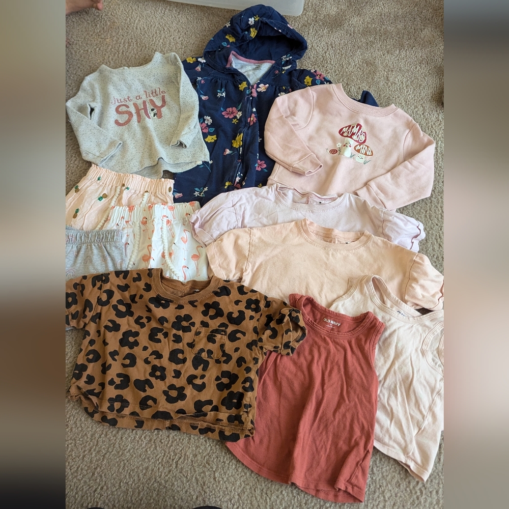 18-24 month bundle girl